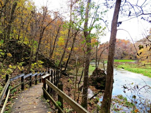 A wooden walkway winds through a forest with autumn foliage beside a flowing river.