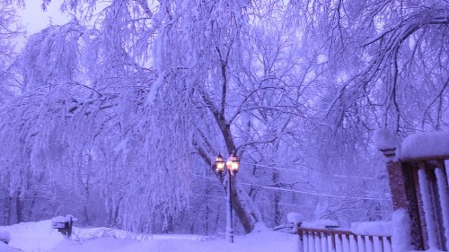 A winter scene with snow-covered trees and a lamppost, all bathed in a soft purple light.