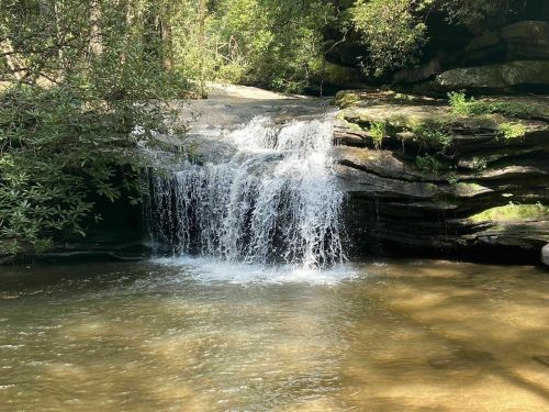 A serene waterfall cascading over rocks into a calm pool, surrounded by lush greenery.