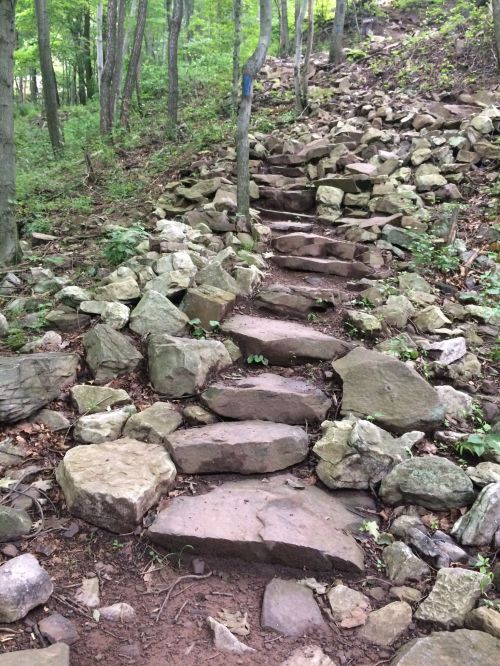 Stone steps lead up a rocky, wooded hillside, surrounded by greenery and trees.