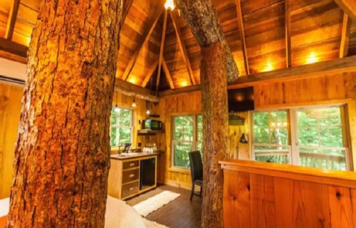 Cozy wooden cabin interior with exposed tree trunks, large windows, and warm lighting.