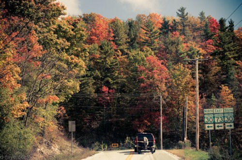 A scenic road surrounded by vibrant autumn foliage, with a vehicle driving towards directional signs.