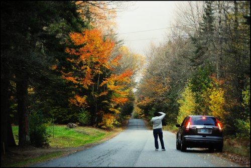 A person stands on a road surrounded by vibrant autumn trees, with a car parked nearby.