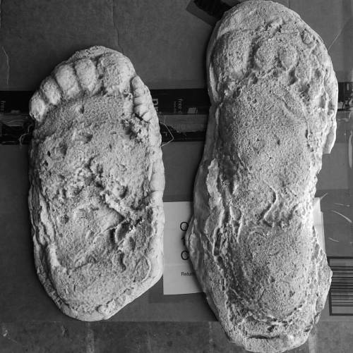 Two large, textured footprints made of a light-colored material, placed on a cardboard surface.