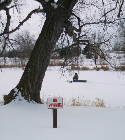 A snowy landscape with a large tree and a "No Swimming" sign, featuring a person fishing on the frozen water.