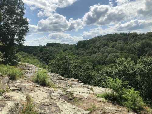 A rocky ledge overlooks a lush green forest under a partly cloudy sky.