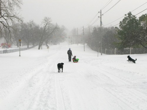 A person and child sledding in a snowy street, with two dogs playing nearby amidst falling snow.