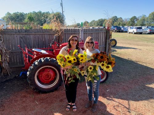 Two women hold large bouquets of sunflowers in front of a red tractor and a wooden fence on a sunny day.