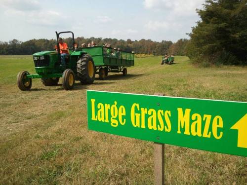 A green tractor pulls a wagon of people near a sign for a large grass maze in a field.