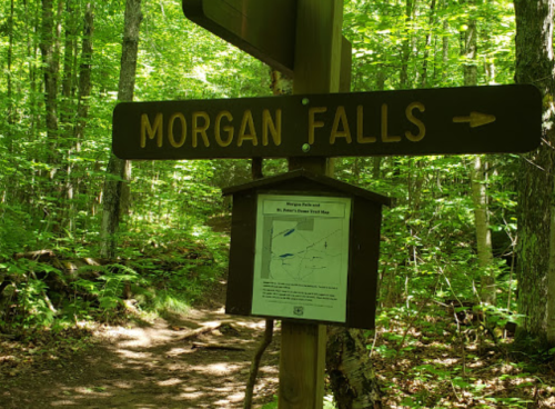 Signpost for Morgan Falls Trail, surrounded by lush green trees, with a map displayed below.