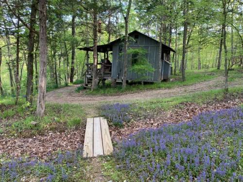 A rustic cabin surrounded by trees and purple wildflowers, with a wooden bridge leading to a dirt path.