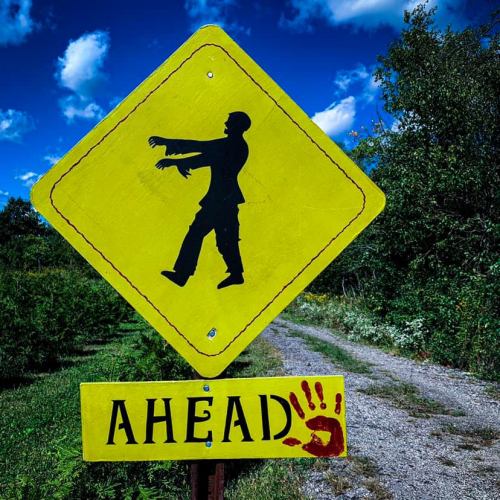 Yellow warning sign with a zombie silhouette and the word "AHEAD" below, featuring a red handprint. Blue sky in background.