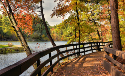 A winding path beside a lake, surrounded by vibrant autumn foliage and a wooden bench in the distance.