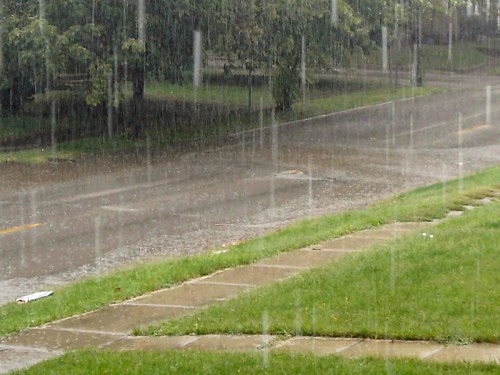 A heavy rainstorm creates puddles on a wet street, with rain visibly falling and grass along the sidewalk.