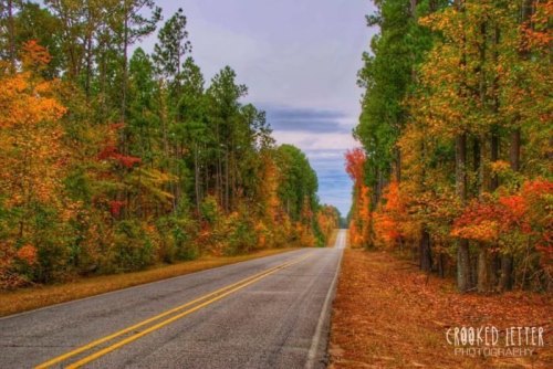 A scenic road lined with colorful autumn trees under a cloudy sky.