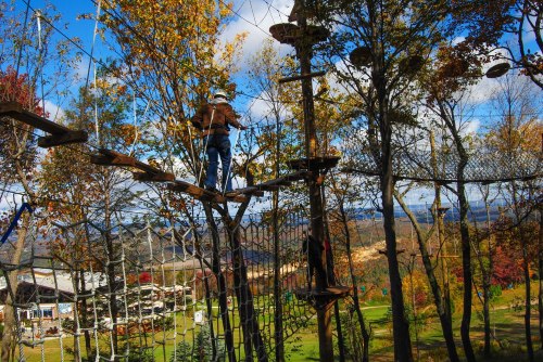 A person navigates a treetop obstacle course surrounded by colorful autumn trees and a scenic landscape below.