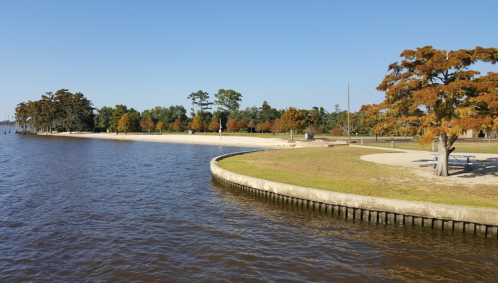 A serene lakeside view with trees displaying autumn colors and a sandy shore under a clear blue sky.