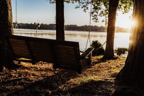 A wooden swing hangs between trees by a serene lake at sunset, casting warm light on the ground.