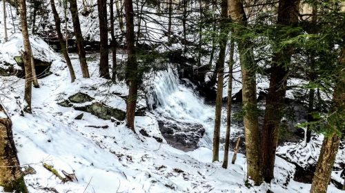 A snowy landscape with a small waterfall surrounded by trees in a forest setting.