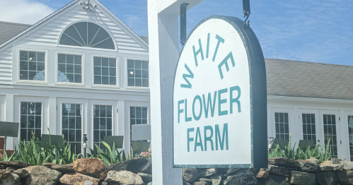 Sign for White Flower Farm in front of a large white building with multiple windows and a landscaped garden.