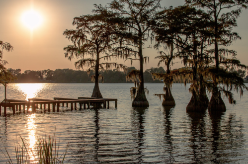 Sunset over a calm lake with cypress trees and a wooden dock reflecting in the water.