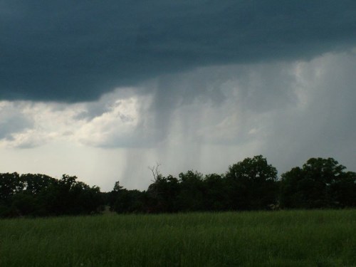 Dark storm clouds loom over a green field, with rain visibly falling in the distance among the trees.