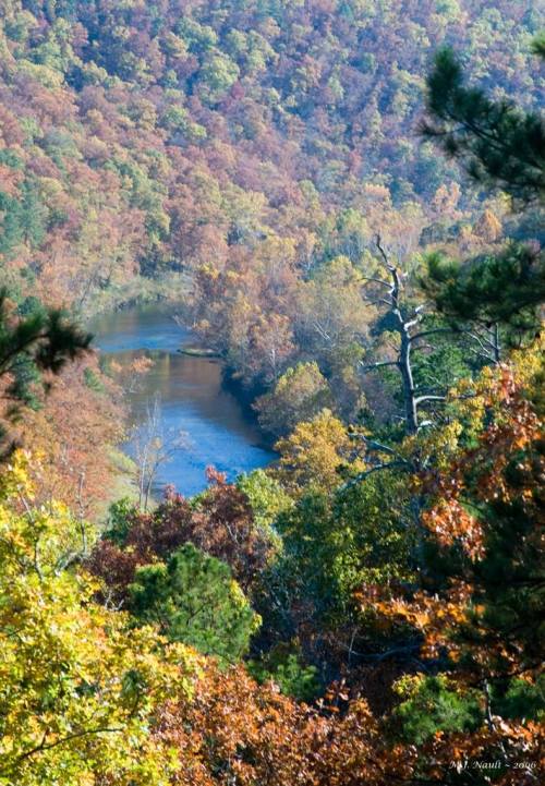 A scenic view of a winding river surrounded by vibrant autumn foliage in a mountainous landscape.