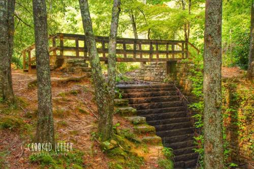 A wooden bridge over stone steps surrounded by lush green trees in a serene forest setting.