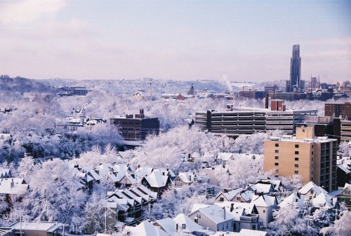 A snowy cityscape with white-covered trees and buildings, featuring a skyline in the background under a clear sky.