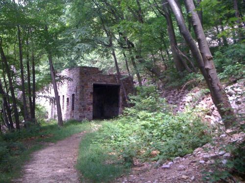 Abandoned stone structure surrounded by dense greenery and trees along a dirt path.