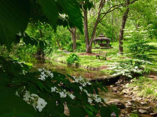 A serene park scene featuring a gazebo by a creek, surrounded by lush greenery and blooming white flowers.