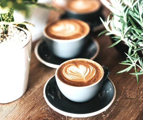 Three cups of coffee with heart-shaped latte art, placed on saucers, beside green plants on a wooden table.