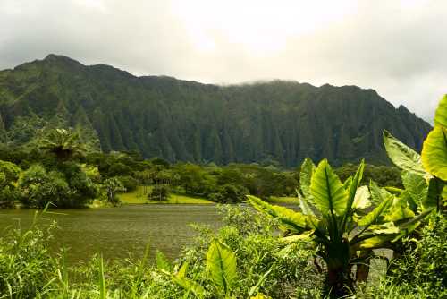 Lush green mountains rise above a tranquil lake, surrounded by vibrant foliage under a cloudy sky.