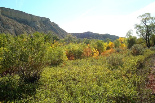 Lush green landscape with colorful autumn foliage and rocky hills under a clear blue sky.