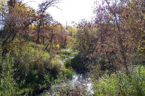 A serene landscape featuring a winding creek surrounded by autumn foliage and lush greenery under a bright sky.