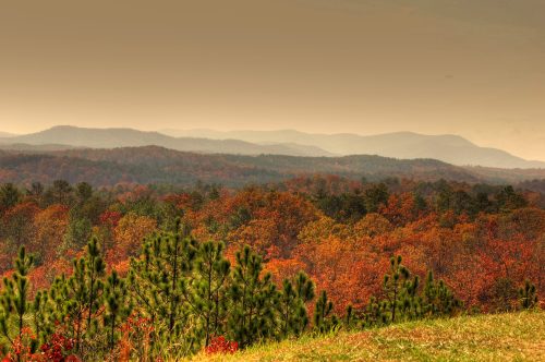 A scenic view of rolling hills covered in vibrant autumn foliage under a soft, hazy sky.