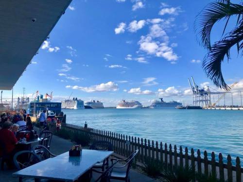 View of a harbor with cruise ships, blue sky, and palm trees, from a waterfront dining area.