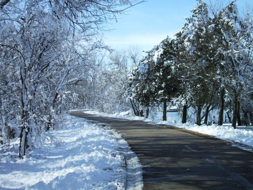 A snow-covered road winding through trees blanketed in fresh snow under a clear blue sky.