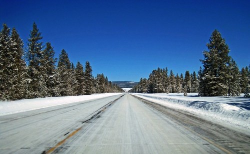 A snow-covered road stretches into the distance, flanked by tall evergreen trees under a clear blue sky.