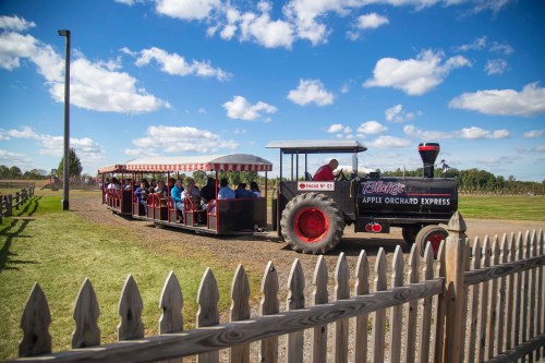 A tractor pulls a covered wagon filled with people through an apple orchard on a sunny day.