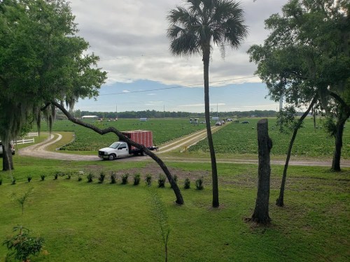 A view of a rural landscape with a truck on a road, surrounded by fields and trees under a cloudy sky.