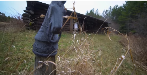 A close-up of a horse hitching post in tall grass, with a rustic log cabin and trees in the background.