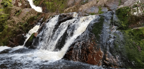 A cascading waterfall flows over moss-covered rocks, surrounded by lush greenery.