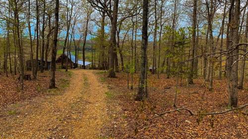 A gravel path leads through a wooded area to a cabin near a lake, surrounded by trees and autumn leaves.