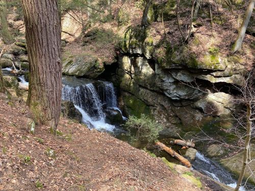 A serene waterfall cascades over rocks in a wooded area, surrounded by trees and fallen leaves.