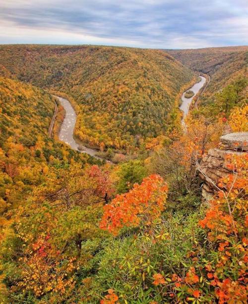A scenic view of a river winding through vibrant autumn foliage in a mountainous landscape.