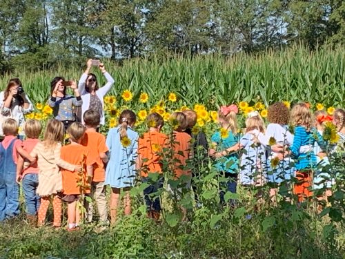 A group of children in colorful outfits stands in front of sunflowers, while adults take photos in the background.