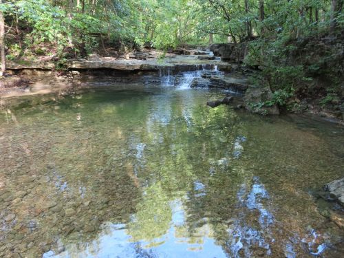 A serene forest scene featuring a clear stream with small waterfalls and lush greenery surrounding the water.