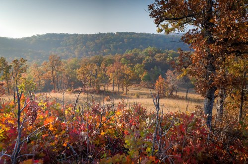 A scenic view of a colorful autumn landscape with trees and rolling hills bathed in soft morning light.