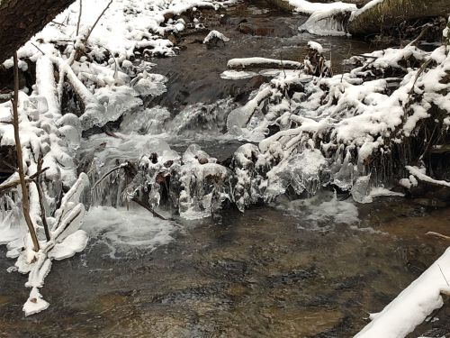 A snowy creek with ice formations on rocks and branches, surrounded by a winter landscape.